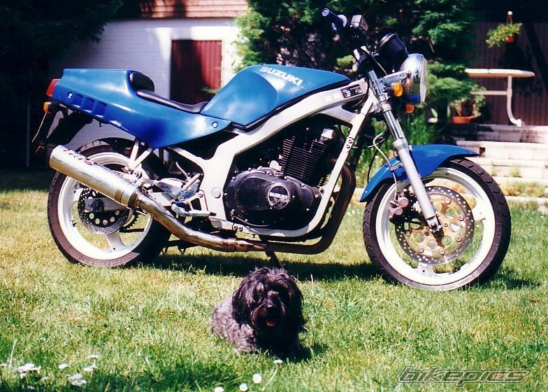 bikepics350515full.jpg