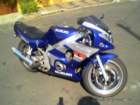 bikepics412268full_small.jpg
